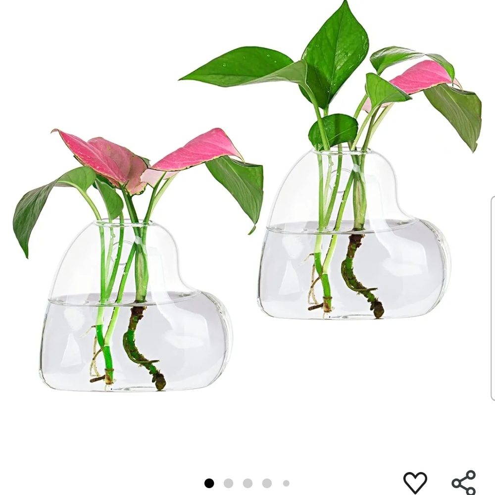 Heart-Shaped Clear Glass Vase Set